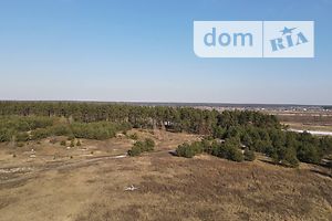 Продаж землі сільськогосподарського призначення, Київська, Ірпінь, р‑н. Гостомель