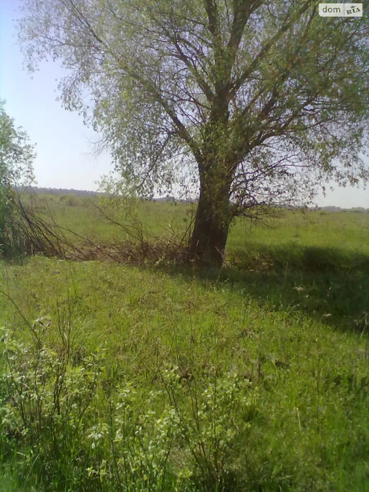 Продается земельный участок 200 соток в Киевской области - фото 3
