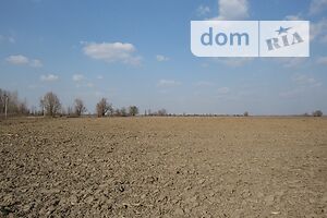 Продаж ділянки під житлову забудову, Київська, Бориспіль, р‑н. Бориспіль, Максима Рыльского улица