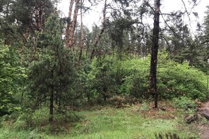 Продажа участка под жилую застройку, Киевская, Киево-Святошинский, c. Забучье, Т1001