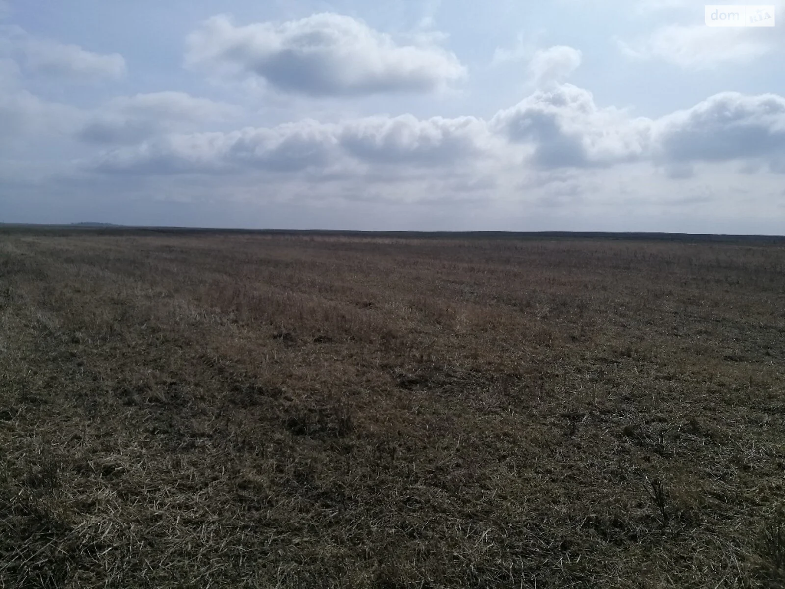 Продається земельна ділянка 34 соток у Рівненській області - фото 4