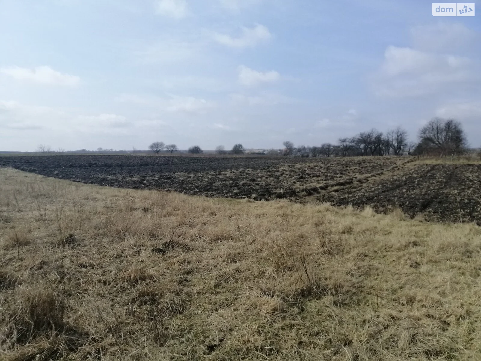 Продается земельный участок 34 соток в Ровенской области - фото 2