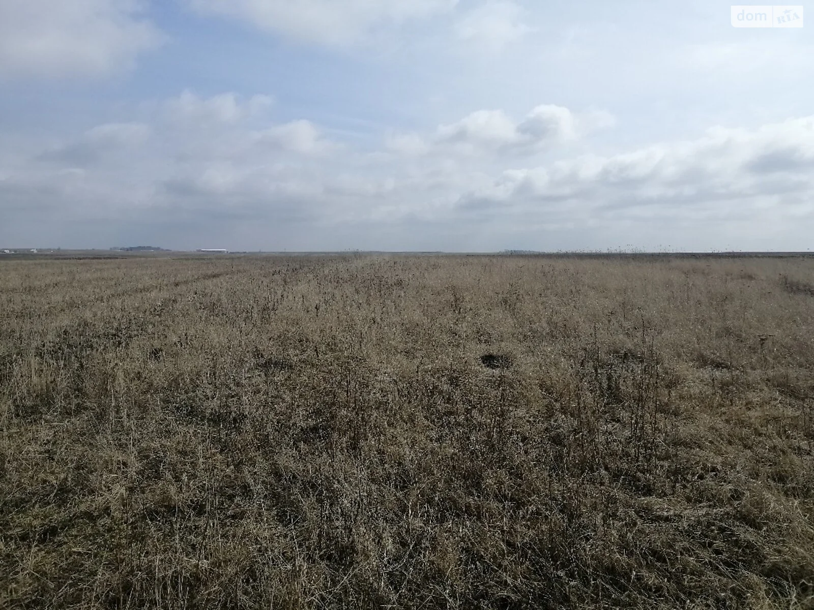Продається земельна ділянка 34 соток у Рівненській області - фото 3