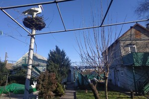 Продаж будинку, Одеська, Чорноморськ, р‑н. Іллічівськ, садовая