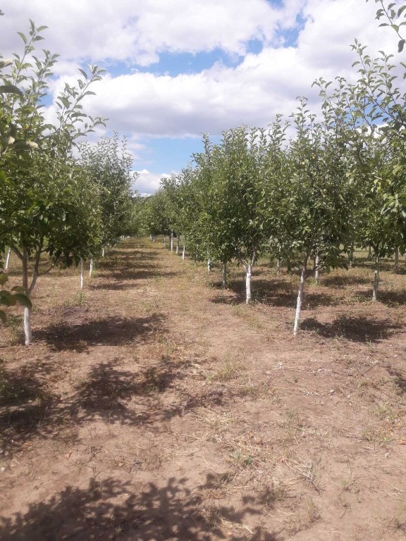 Продається земельна ділянка 15 соток у Вінницькій області, цена: 9000 $