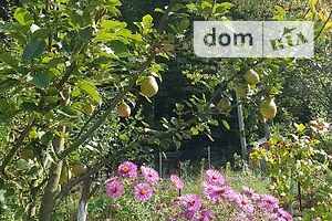 Продаж дачі, Ужгород, c. Оріховиця