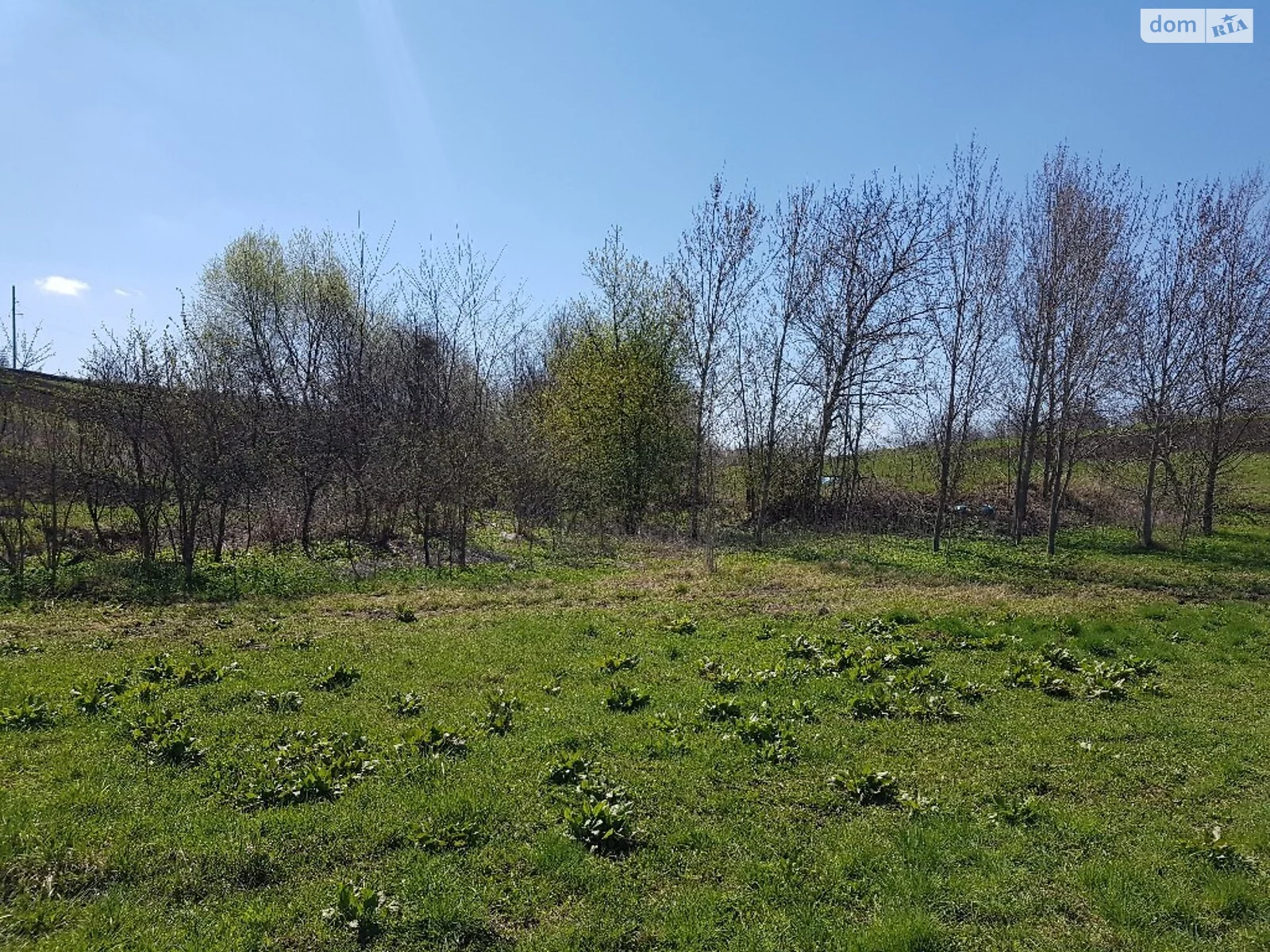 Продается земельный участок 26 соток в Хмельницкой области - фото 2