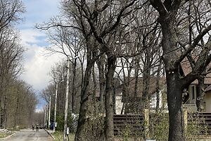 Продажа участка под жилую застройку, Харьковская, Дергачи, c. Русская Лозовая