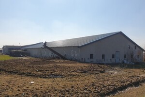 Продаж виробничого приміщення, Запоріжжя, c. Відрадне, Свитанок