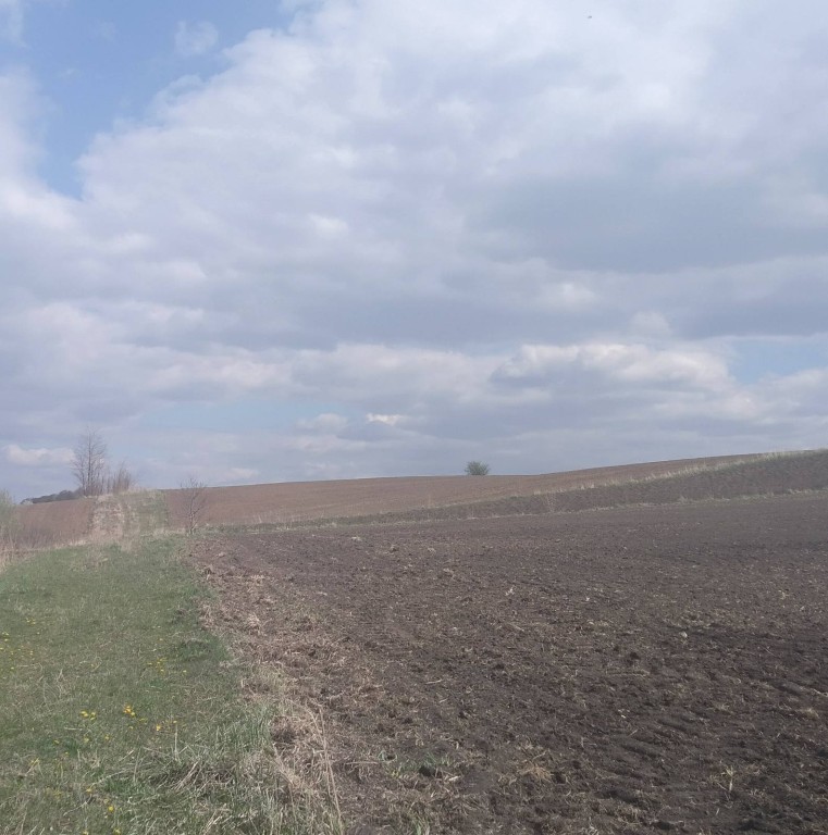 Продается земельный участок 30 соток в Черновицкой области - фото 3