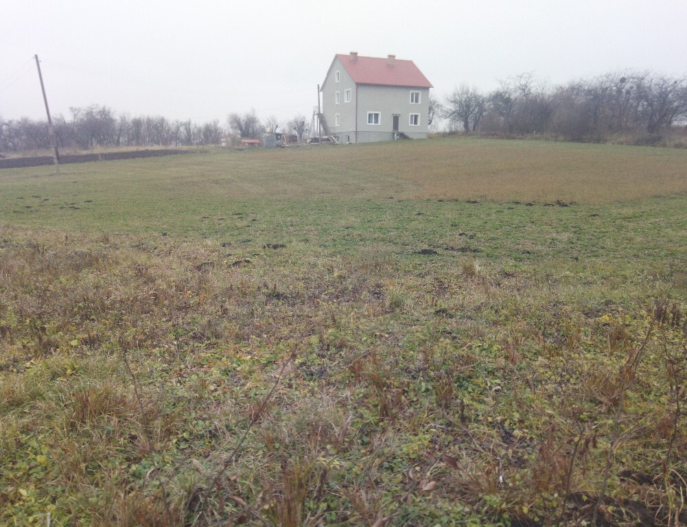 Продается земельный участок 37 соток в Черновицкой области - фото 2