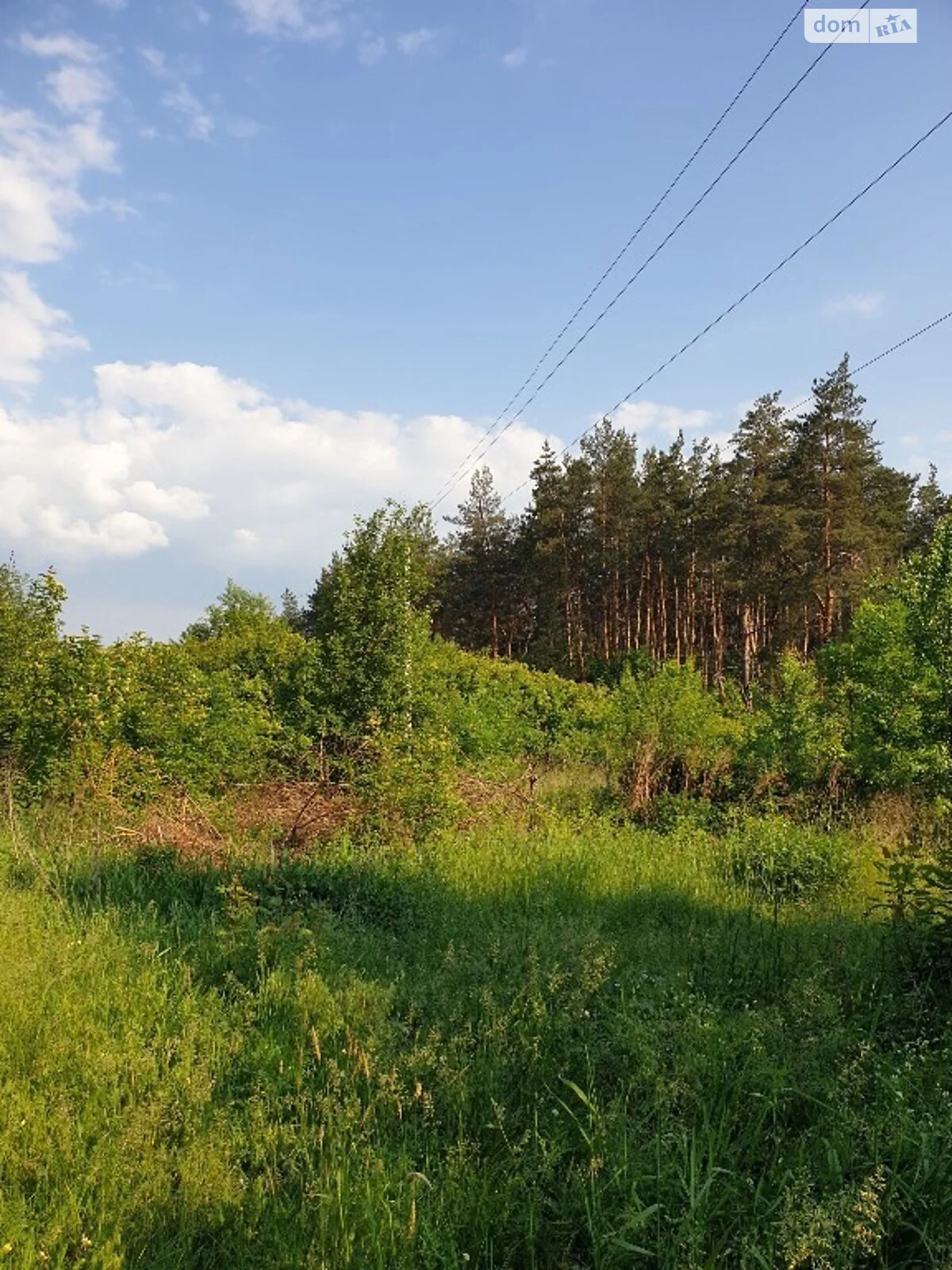 Продается земельный участок 25 соток в Днепропетровской области - фото 3