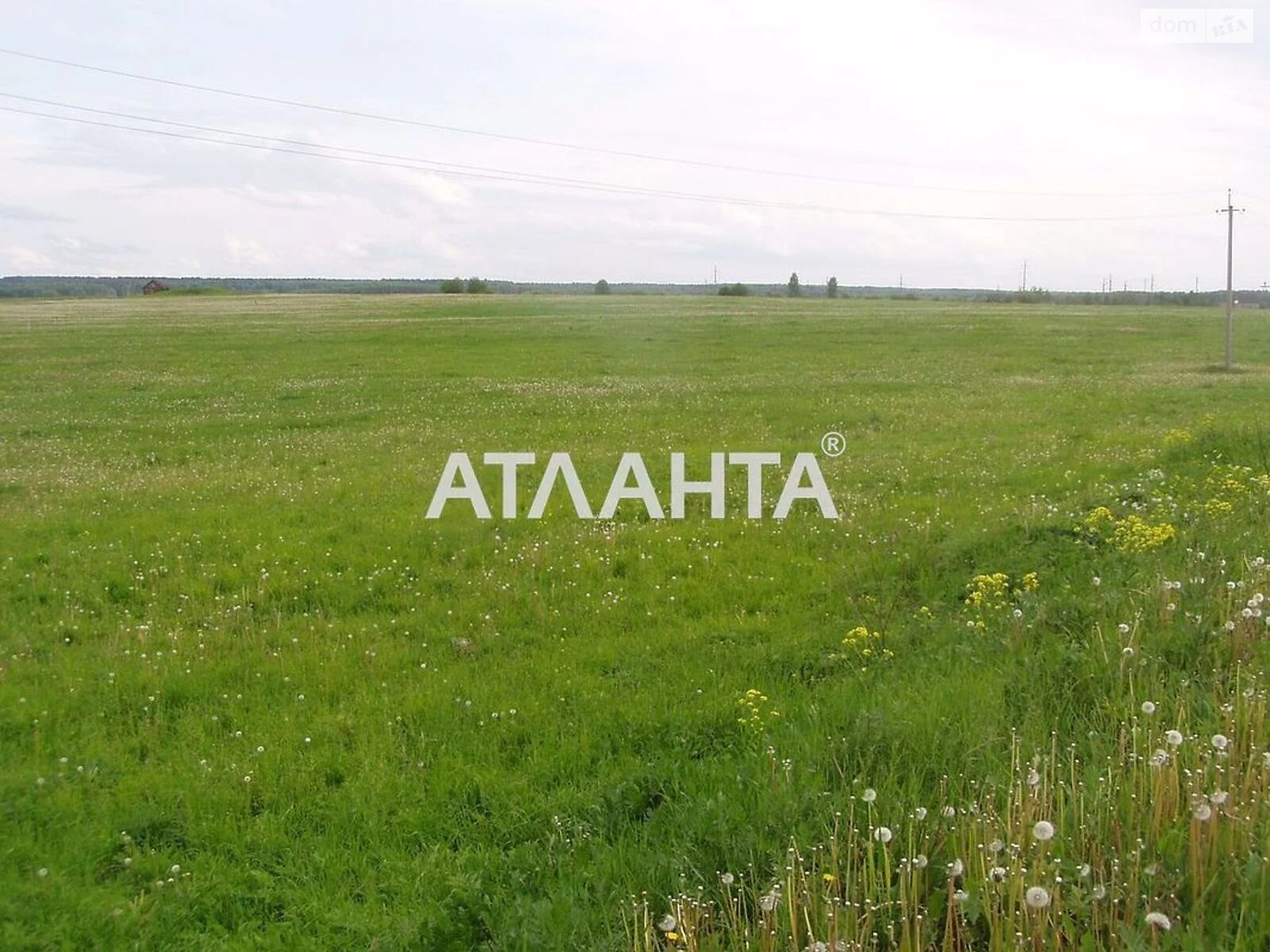 Продается земельный участок 25 соток в Одесской области, цена: 12000 $