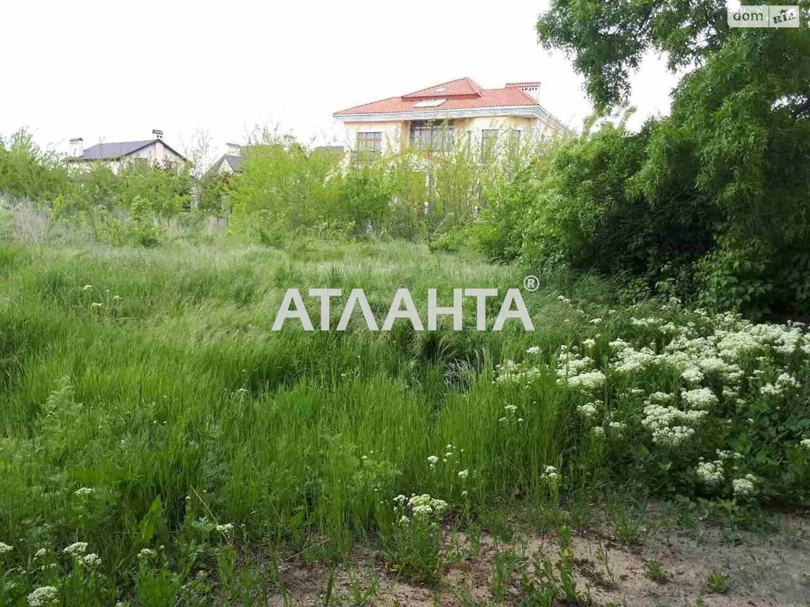 Продается земельный участок 12.34 соток в Одесской области - фото 2