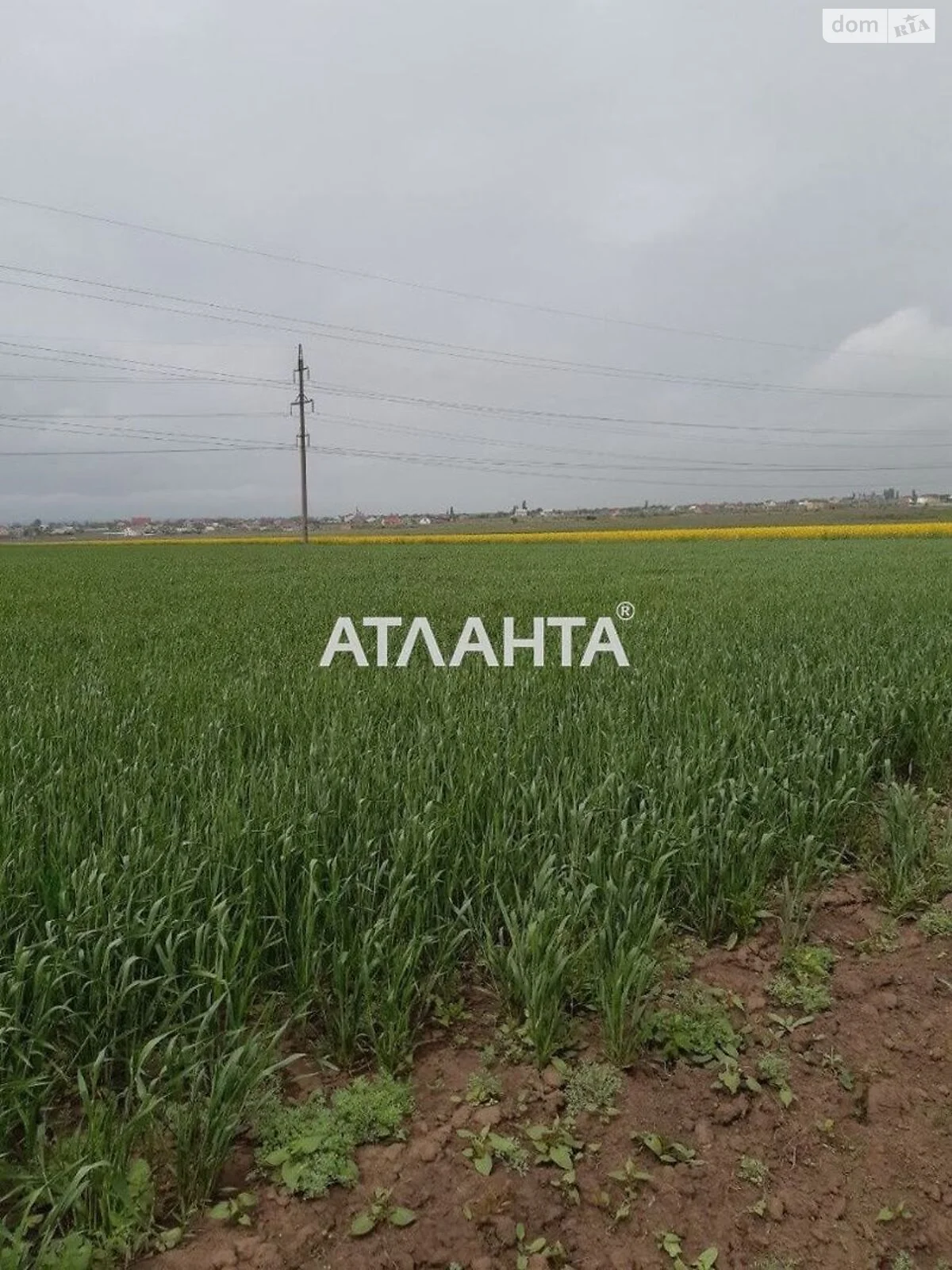 Продается земельный участок 100 соток в Одесской области - фото 2