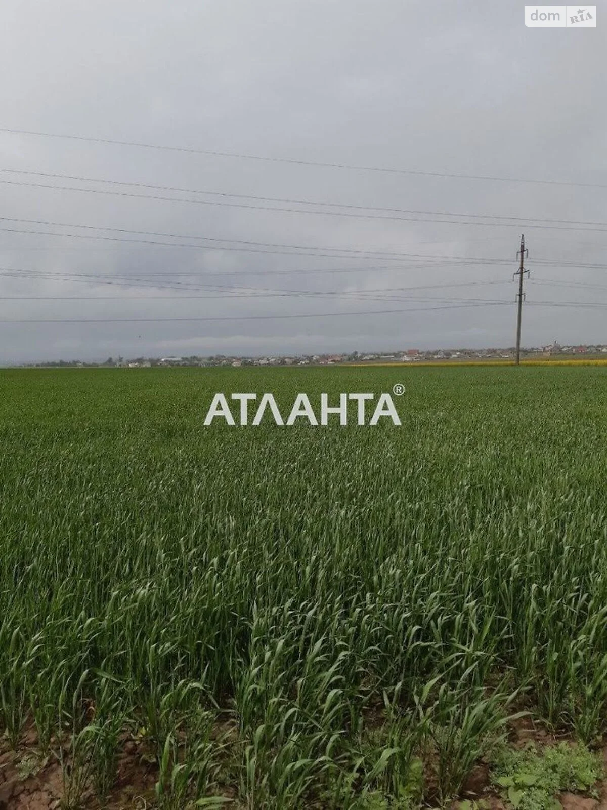 Продається земельна ділянка 100 соток у Одеській області - фото 3