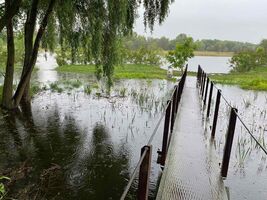 Продажа дома, Полтавская, Кременчуг, c. Кривуши, Речная