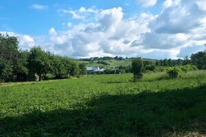 Купить землю под застройку в Черновицкой области