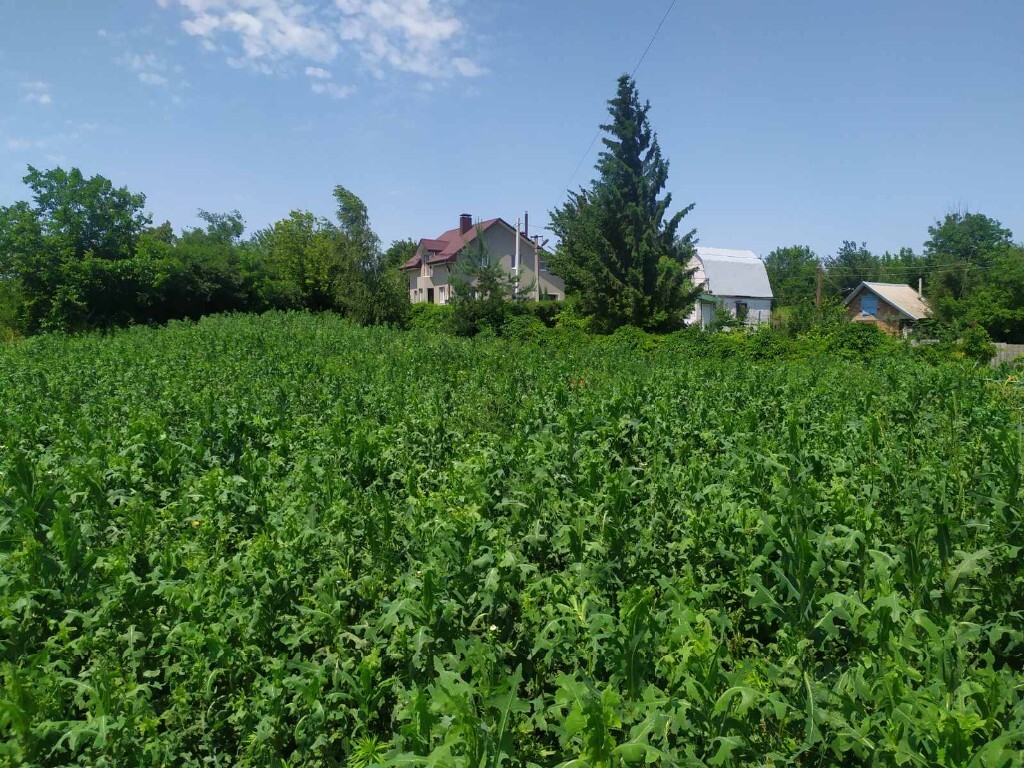 Продается земельный участок 8 соток в Днепропетровской области - фото 3