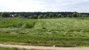 Продается земельный участок 37 соток в Винницкой области, цена: 32000 $
