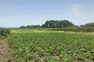 Продаж ділянки під житлову забудову, Вінниця, р‑н. Агрономічне