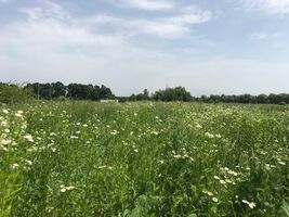 Продаж ділянки під житлову забудову, Вінниця, р‑н. Агрономічне, Садовий масив