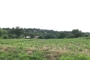 Продаж ділянки під житлову забудову, Вінниця, c. Бохоники, Данила Нечая вулиця