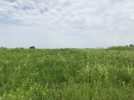 Продажа участка под жилую застройку, Винница, c. Шкуринци, Поляна масив