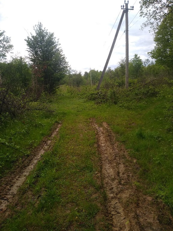 Продається земельна ділянка 1.57 соток у Закарпатській області, цена: 14000 $ - фото 1