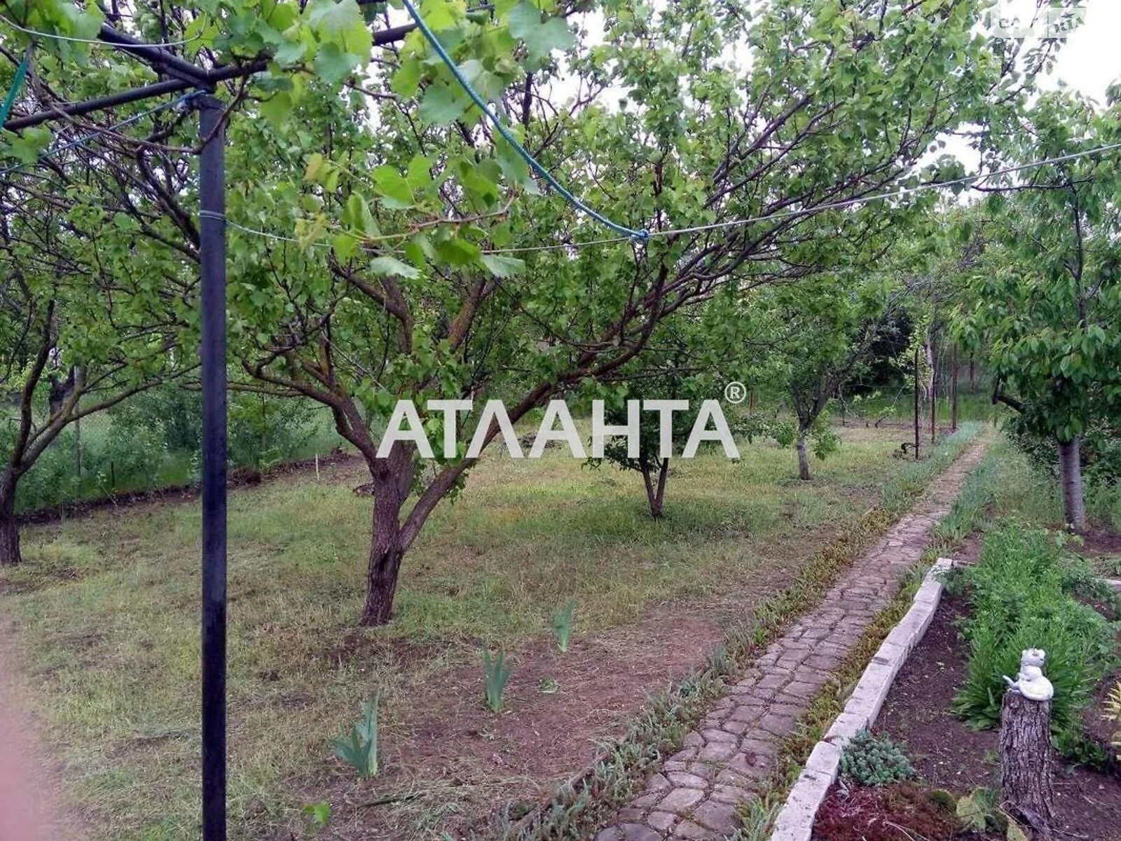 Продается одноэтажный дом 25 кв. м с террасой, цена: 7000 $ - фото 1