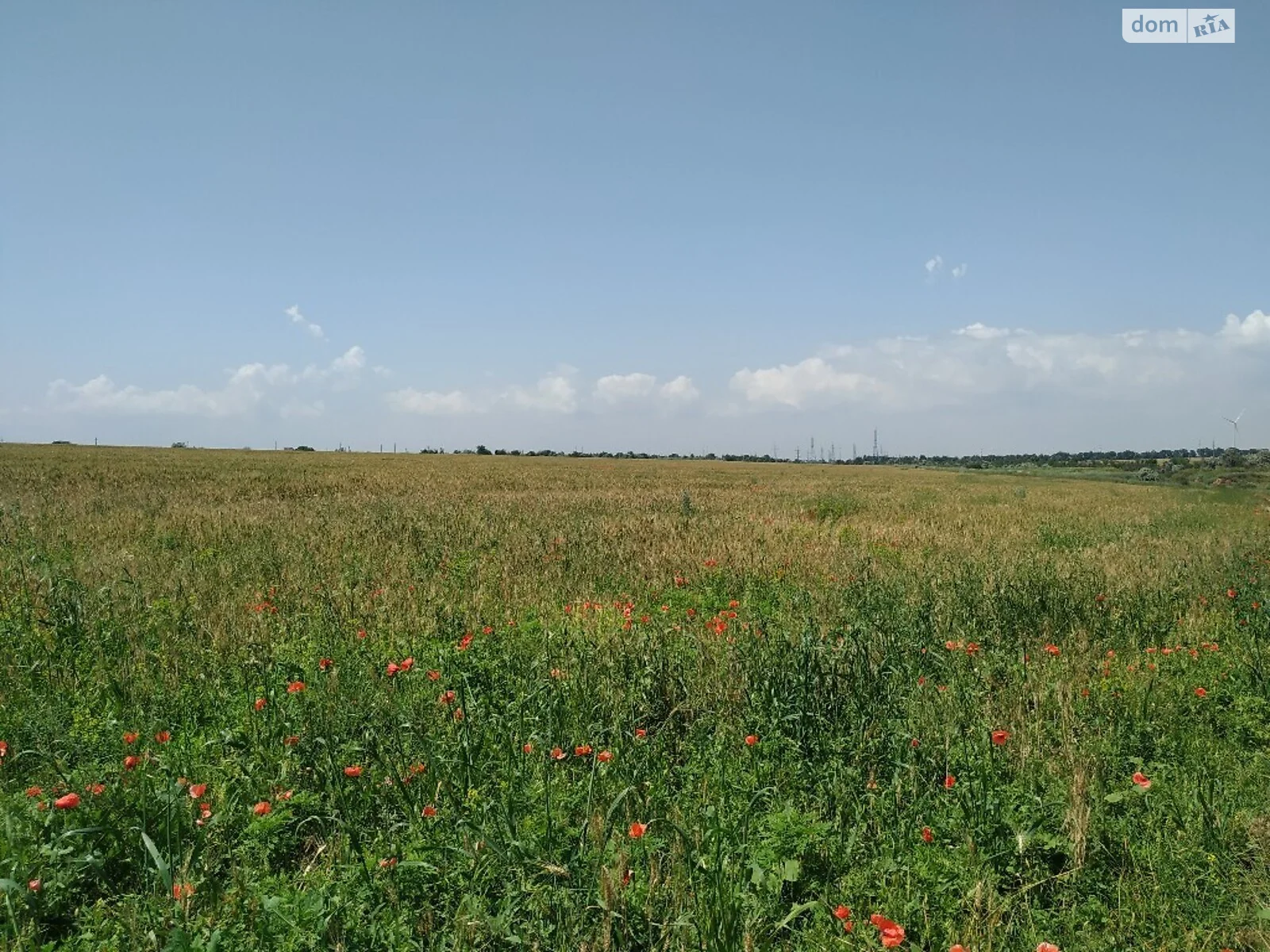 Продается земельный участок 581 соток в Одесской области - фото 2