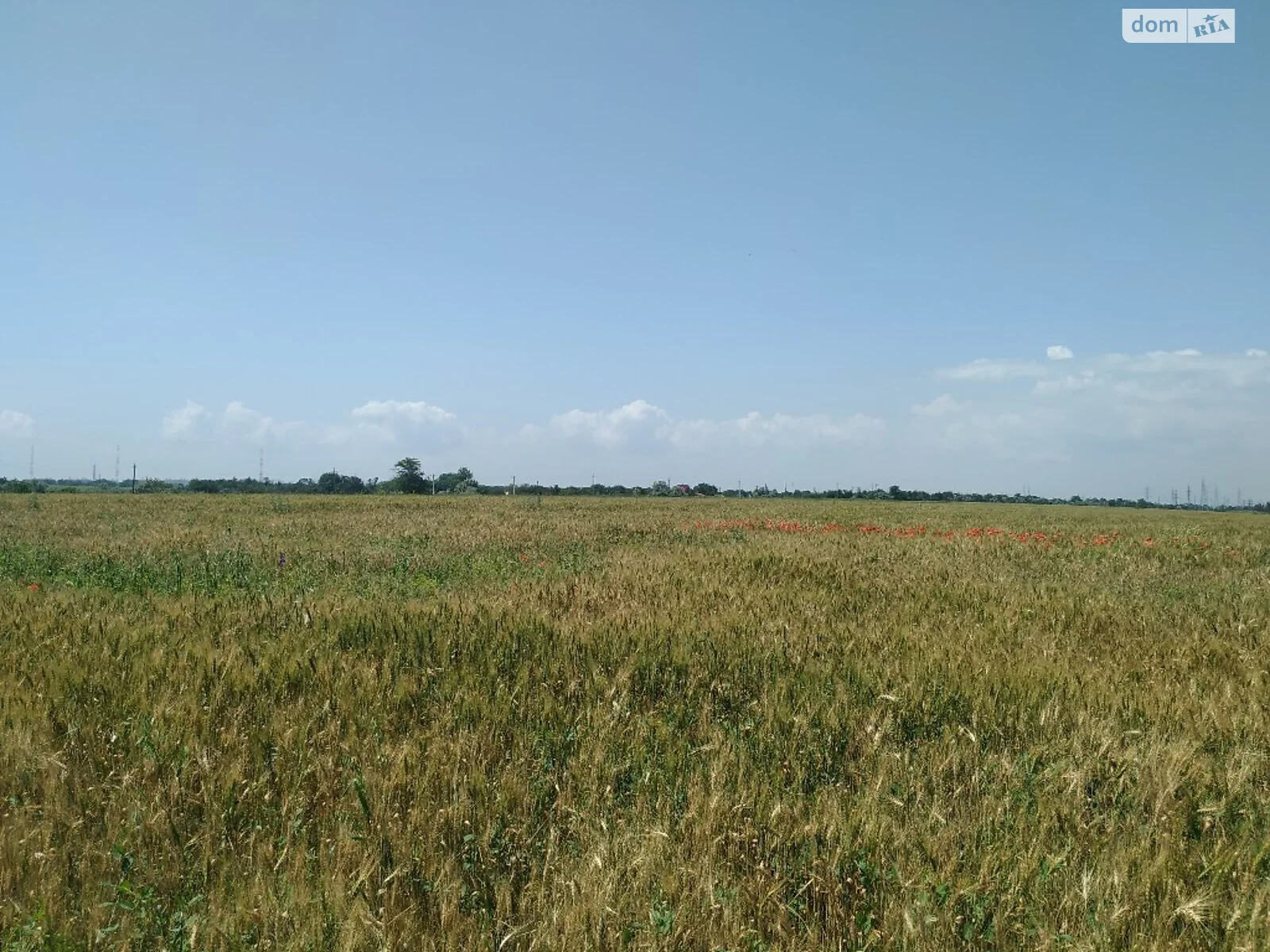 Продається земельна ділянка 580 соток у Одеській області - фото 2