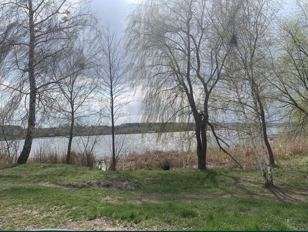 Продается земельный участок 15 соток в Киевской области, цена: 15000 $
