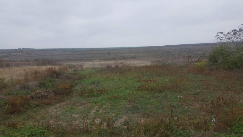 Продается земельный участок 49 соток в Одесской области - фото 2