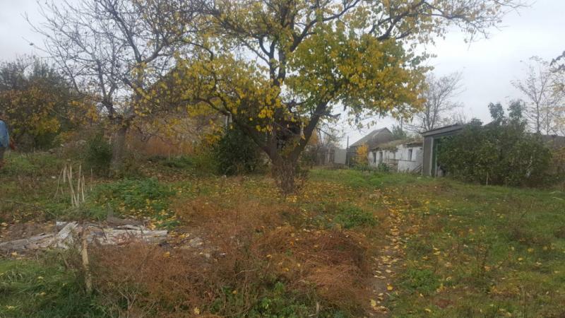 Продается земельный участок 49 соток в Одесской области - фото 3