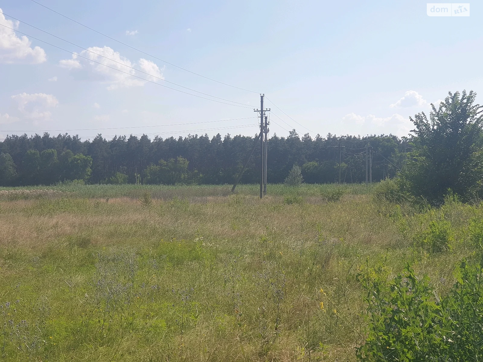 Продається земельна ділянка 20 соток у Дніпропетровській області - фото 2