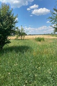 Продажа участка под жилую застройку, Киевская, Бородянка, c. Микуличи, Варшавська