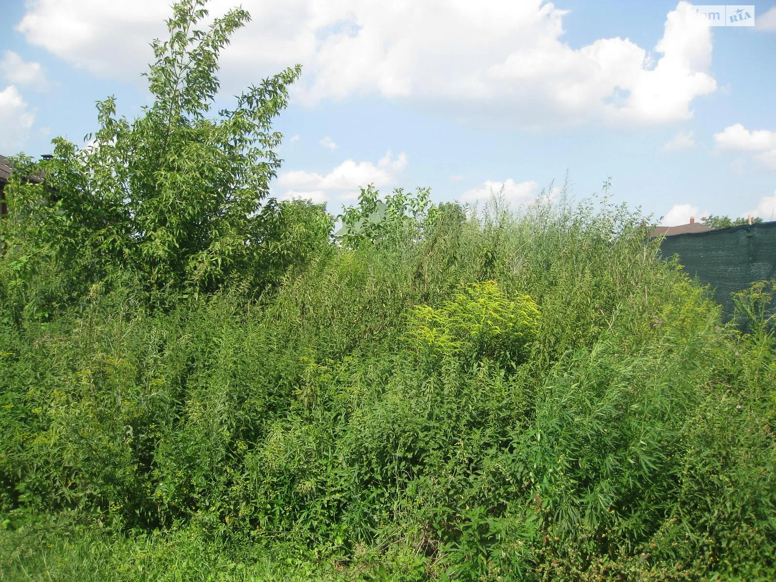 ул. Тепличная, 235 Южная Борщаговка Киев Вокзальная, цена: 63990 $ - фото 1
