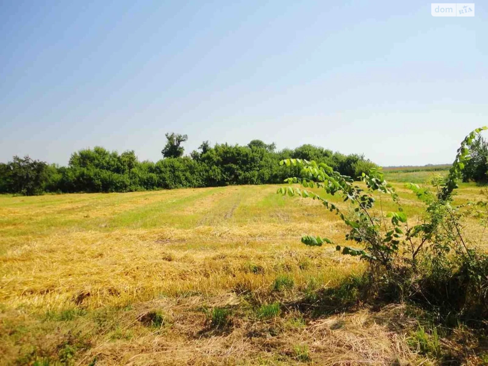 Продается земельный участок 59 соток в Полтавской области - фото 2