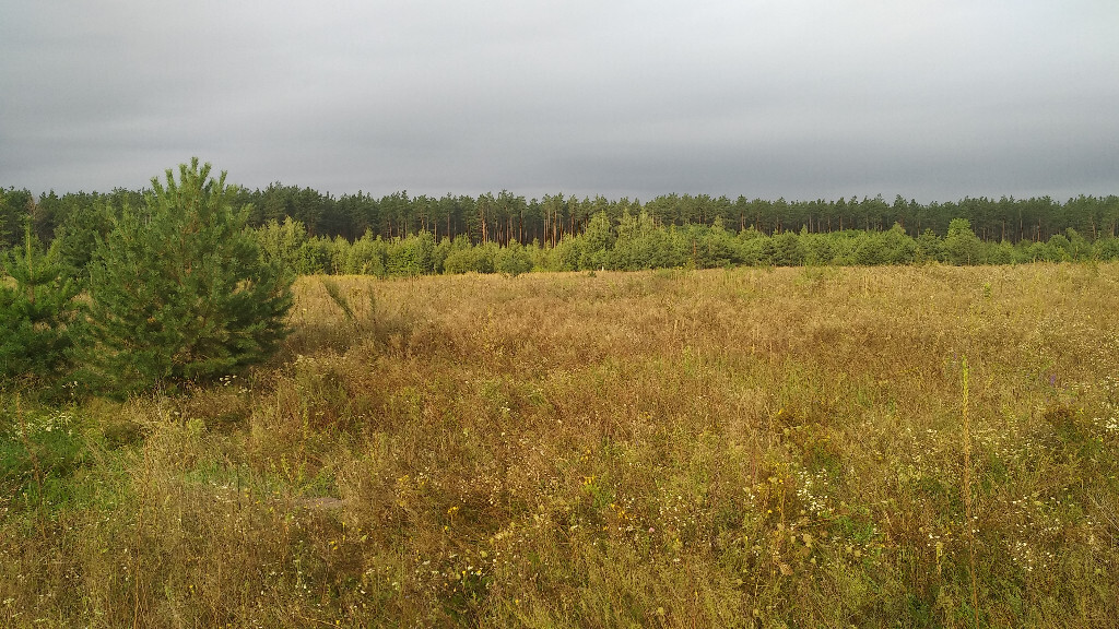 Продається земельна ділянка 15.5 соток у Київській області, цена: 12200 $ - фото 1