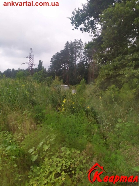 Продается земельный участок 40 соток в Черкасской области - фото 2
