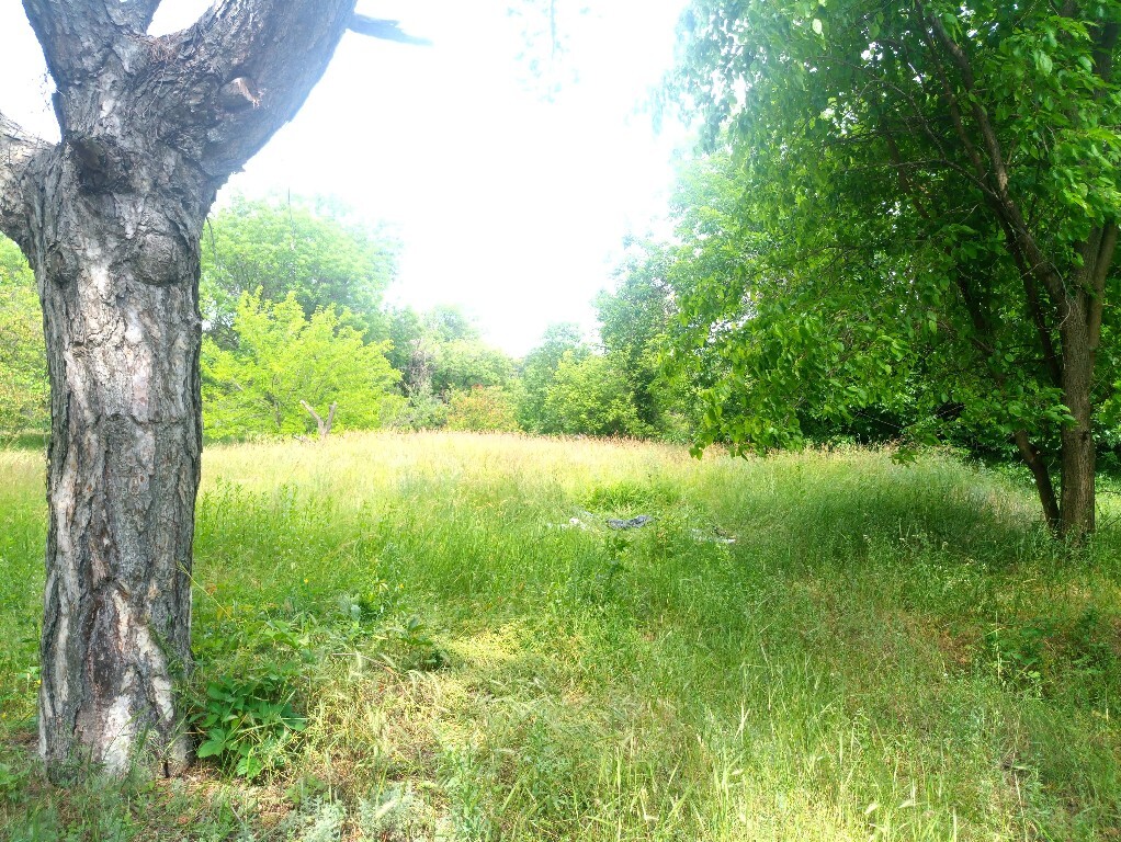 Продається земельна ділянка 10 соток у  області, цена: 21000 $ - фото 1
