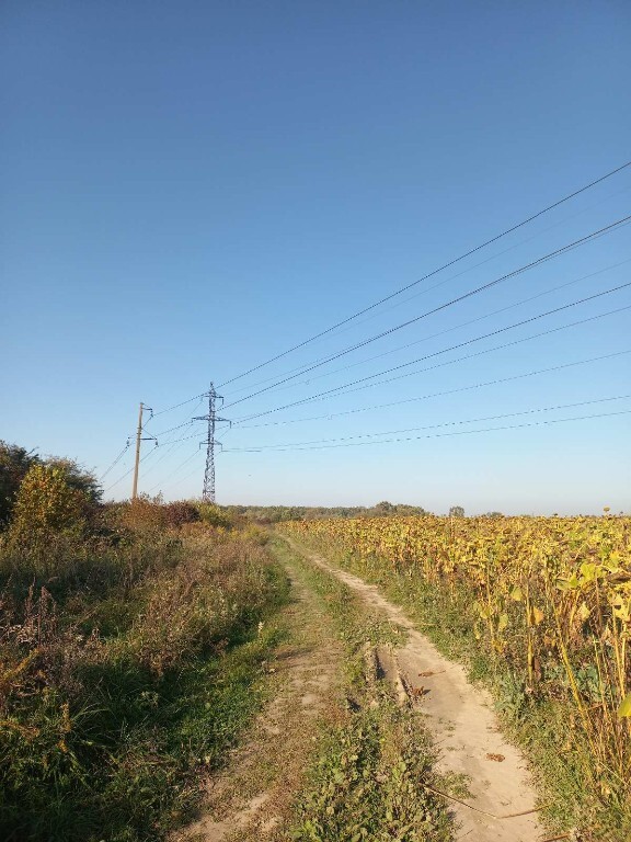 Продається земельна ділянка 8 соток у Львівській області - фото 3