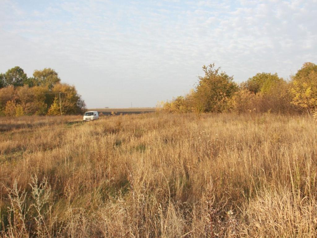 Продается земельный участок 230 соток в Харьковской области - фото 2