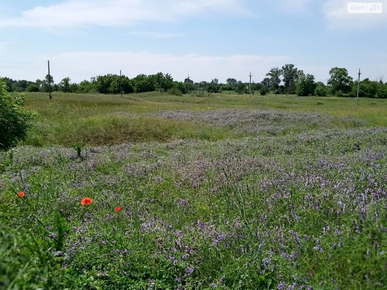 Продається земельна ділянка 1 соток у Дніпропетровській області, цена: 3000 $ - фото 1