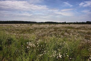 Куплю земельный участок в Затоке без посредников