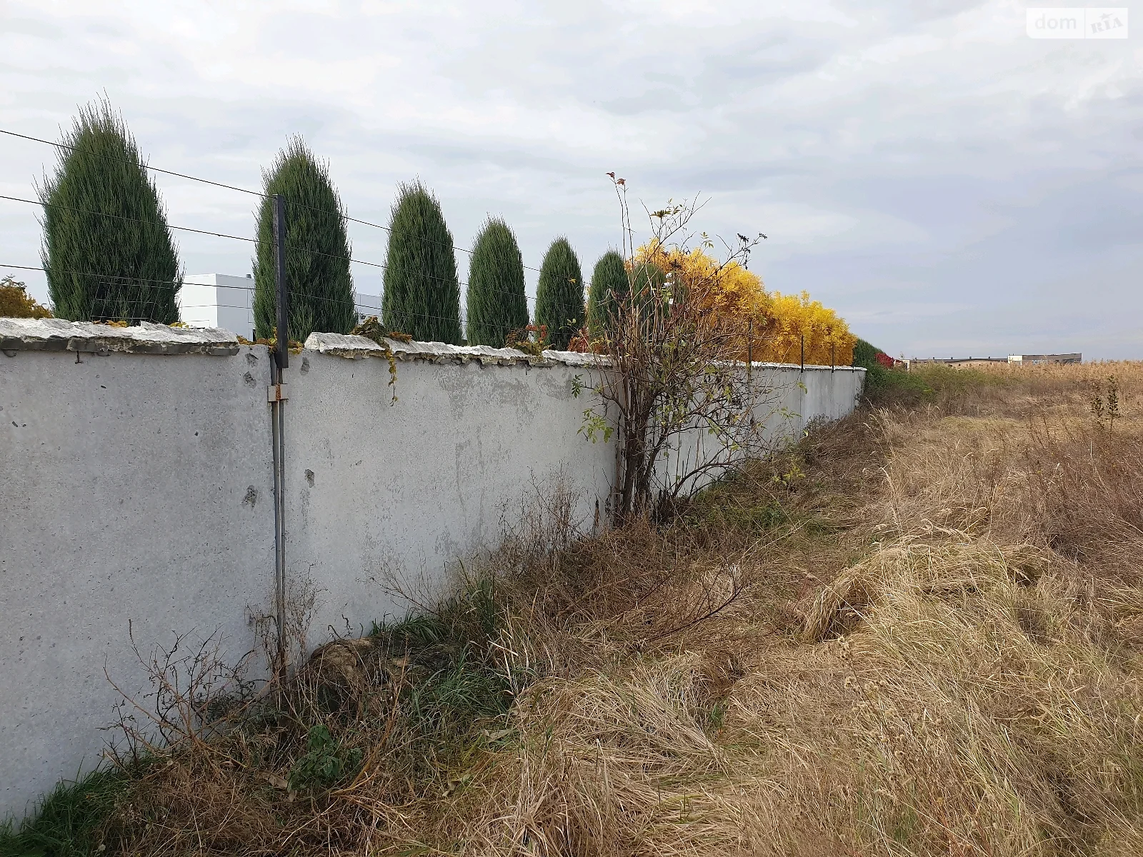 Продается земельный участок 36 соток в Днепропетровской области - фото 3