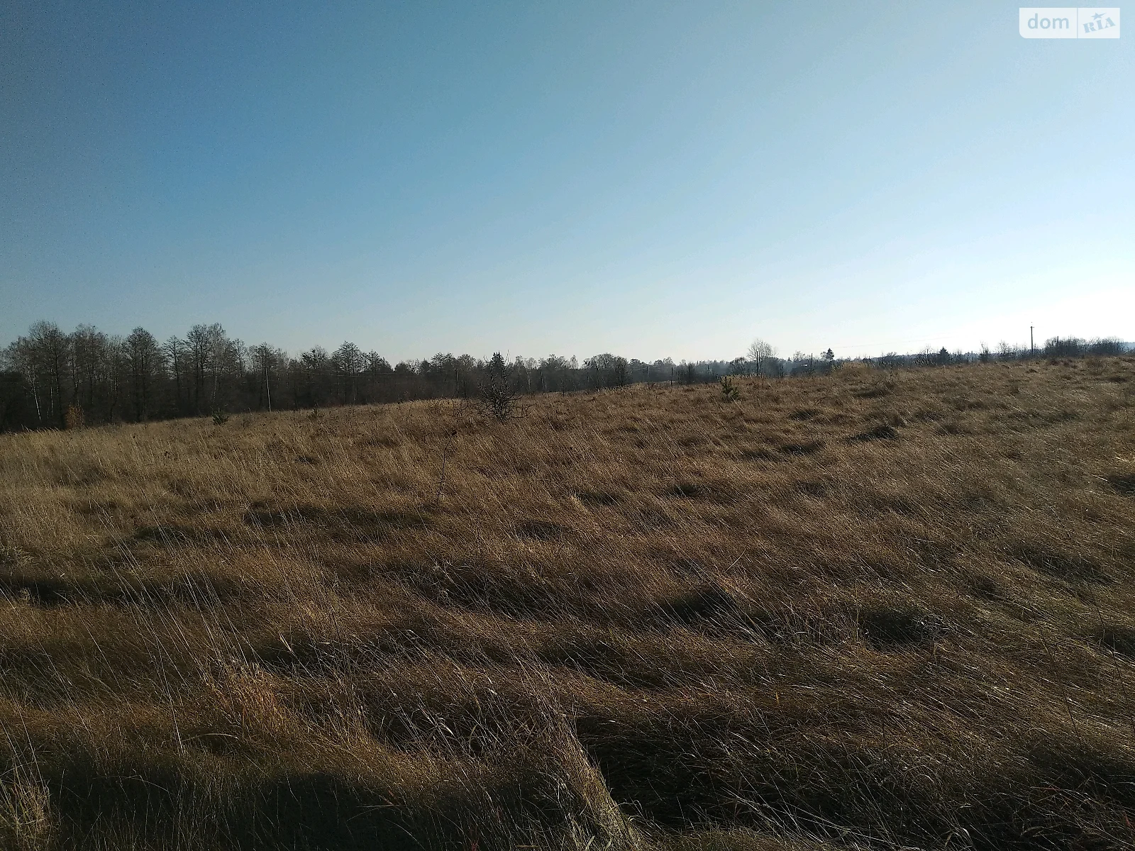 Продается земельный участок 10 соток в Житомирской области - фото 3
