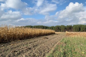 Продажа участка под жилую застройку, Киевская, Бородянка, c. Микуличи, Мічурина вулиця