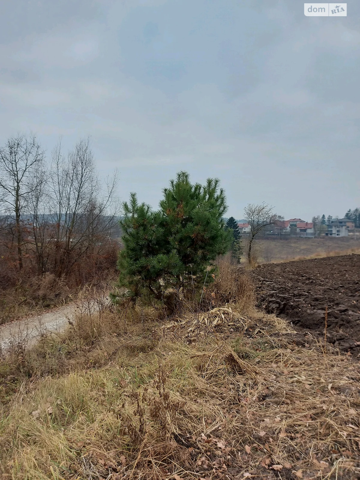 Продається земельна ділянка 9 соток у Тернопільській області - фото 2